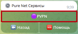 VPN сервис в России PVPN